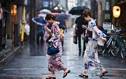 ​Hàng trăm ngàn người Nhật phải di tản tránh bão Nangka