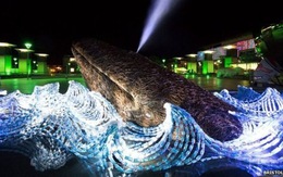 ​Độc đáo tác phẩm điêu khắc cá voi từ 7.000 chai nhựa