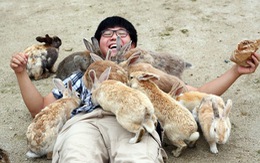 ​Bất ngờ với “đảo thỏ” ở Nhật