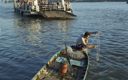 Giăng lưới