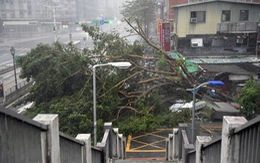 Đài Loan tơi bời trong bão, Trung Quốc sơ tán 158.000 dân