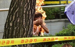 Biểu tình trước sứ quán Nhật Bản, một người Hàn tự thiêu
