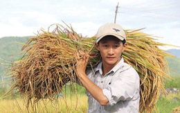 Vững chãi trong cuộc đời buồn