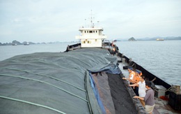 Cảnh sát biển bắt tàu chở 3.700 tấn than cám không giấy tờ