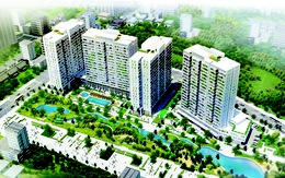 Citihome giới thiệu block C – block đẹp nhất