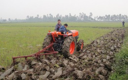 Tạo cơ chế tích tụ ruộng đất  trong nông nghiệp