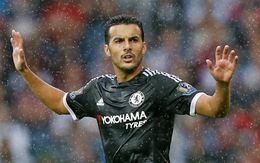 Điểm tin tối 24-8: Pedro: "Tôi sang Chelsea vì Mourinho"