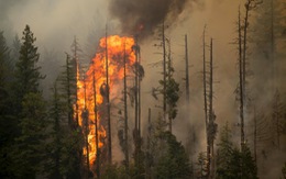 ​Cháy rừng lớn nhất lịch sử bang Washington