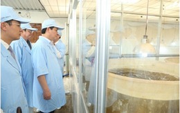 ​Bình Thuận dự kiến cung cấp 20 tỷ con tôm giống trong năm nay