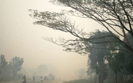 Dân Malaysia khốn khổ vì khói cháy rừng, Indonesia xin lỗi