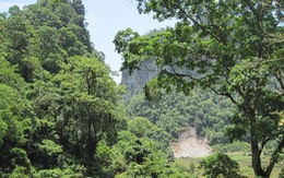 ​Đức hỗ trợ Việt Nam sử dụng bền vững hệ sinh thái rừng