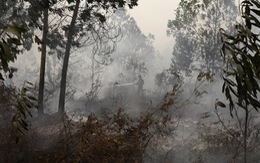 ​Indonesia ban bố tình trạng khẩn cấp vì khói bụi
