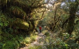 Milford Trail - con đường huyền thoại của New Zealand