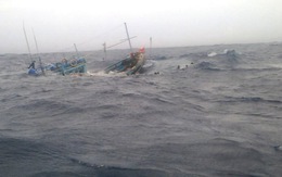 Phản đối việc tàu Trung Quốc đâm chìm tàu cá Việt Nam
