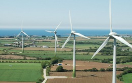 ​Quỹ bảo vệ môi trường hỗ trợ giá điện gió
