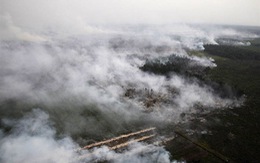 ​Indonesia làm mưa dập cháy rừng
