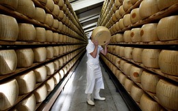 ​Italy thiệt hại 60 tỉ euro mỗi năm do thực phẩm nhái
