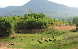 ​Mênh mang Việt An