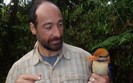​Bảo tàng Mỹ giết chim quý nhân danh... khoa học