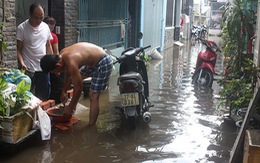 ​Mưa một trận, ngập nhiều ngày