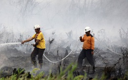 Singapore kêu gọi ASEAN chống khói bụi cháy rừng ở Indonesia