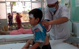 Khánh Hòa: thêm 1 người chết do sốt xuất huyết