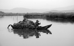 Trên đầm Ô Loan