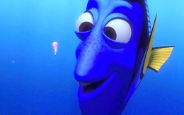 Xem đoạn phim về nàng Dory kể từ sau "Đi tìm Nemo"