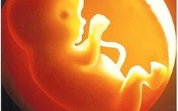 “Hỗ trợ” 50 triệu cho sản phụ bị chết lưu thai 40 tuần