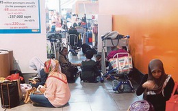 Phi công AirAsia bệnh hàng loạt, hành khách qua đêm ở sân bay