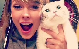 Taylor Swift có nhiều ảnh được thích nhất Instagram