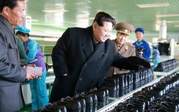 ​Tàu ngầm CHDCND Triều Tiên hư hại sau phóng tên lửa