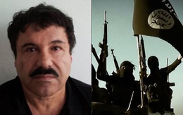 Bị phá làm ăn, trùm ma túy Mexico thề tiêu diệt IS