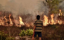 Indonesia mất 16 tỉ USD vì cháy rừng, gấp đôi sóng thần 2014