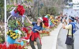 Nhiều điểm nhấn tại Festival hoa  Đà Lạt 2015