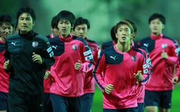 Cerezo Osaka mang các  cầu thủ trẻ sang VN
