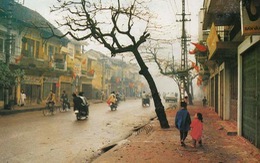 Ký ức Hà Nội tại Hoàng thành Thăng Long