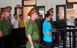 Vụ con ruồi trong chai nước ngọt: Tuyên ông Minh 7 năm tù