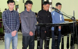 Đề nghị án tù cho bị cáo Hàn Quốc