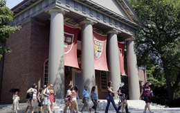 Đại học Harvard đào tạo miễn phí nâng chất giáo dục Mỹ