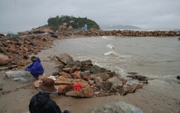 Khánh Hòa chỉ đạo kiểm tra, báo cáo vụ lấn vịnh Nha Trang