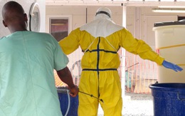 Người khỏi bệnh Ebola lại mắc nhiều bệnh khác