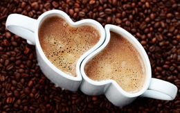 Bắc nhịp trái tim kỳ 365 - Hà Nội cà phê nâu