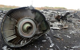 ​Hà Lan nghiên cứu báo cáo mới về thảm họa MH17