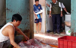 ​Phát hiện thêm lò mổ heo lậu tại TP.Biên Hòa