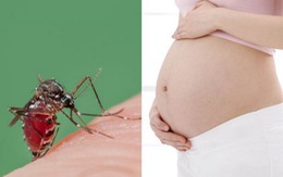 Mỹ Latin hoảng sợ vi rút Zika gây dị tật đầu nhỏ