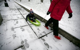 Bão ở Bờ Đông nước Mỹ, Washington bị vùi sâu trong tuyết
