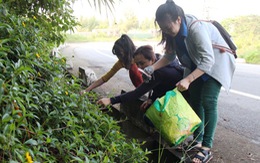 “Du lịch nhặt rác” trên bán đảo Sơn Trà