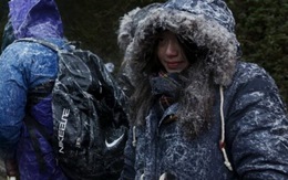 Hong Kong, Nhật Bản, Hàn Quốc lạnh cóng, 86.000 người mắc kẹt