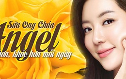 ​Sữa ong chúa tươi Angel tuyển đại lý phân phối